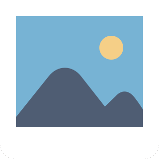 ASRock RX9060 XT Challenger 16GB OC ASRock RX9060 XT Challenger 16GB OC